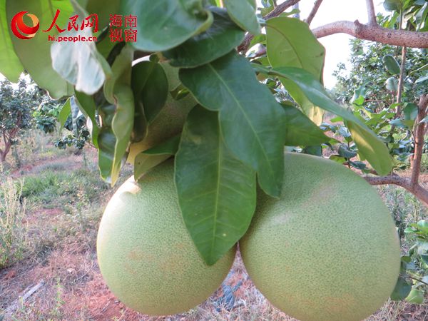 ݴM(jn)֮a(chn)I(y)l(f)չ Ļ
ǧdٶhĻdζL(zhng)λڭlRفᎧ؅^(q)ȻlǳmֵL(zhng)@һ쪚(d)ă(yu)(sh)M(jn)֮a(chn)I(y)l(f)չĻ   [Ԕ(x)]
