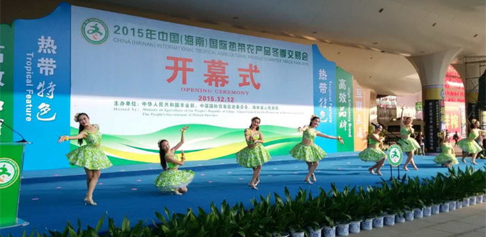 2015궬_ĻʽDČ
