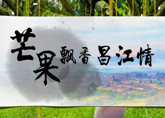 â(ji)516630Сâʳ(ji)f(wn)ơƿgʢ硱(dng)ǡl(xing)w(yn)(dng)16(xing)(dng)Ԕ(x)