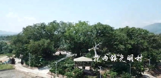 |(zhn)屻u(png)麣ʡǼ(j)l(xing)塣