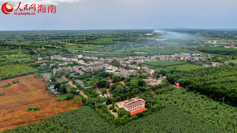 福山鎮(zhèn)敦茶村委會洋道村。 人民網(wǎng) 孟凡盛攝