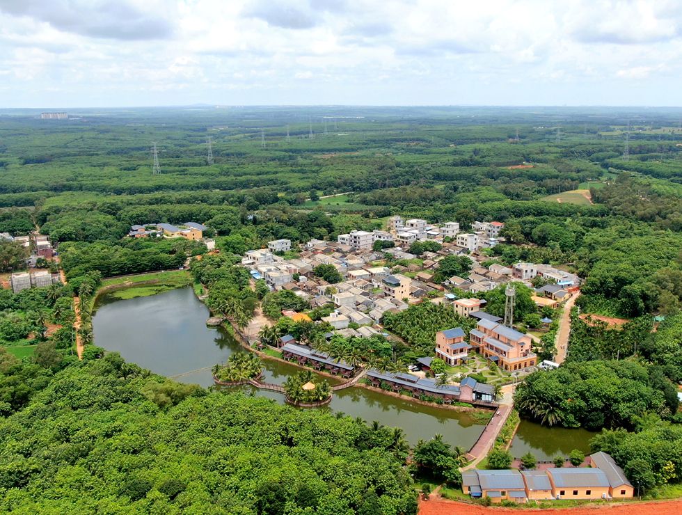 大豐鎮(zhèn)才存村
