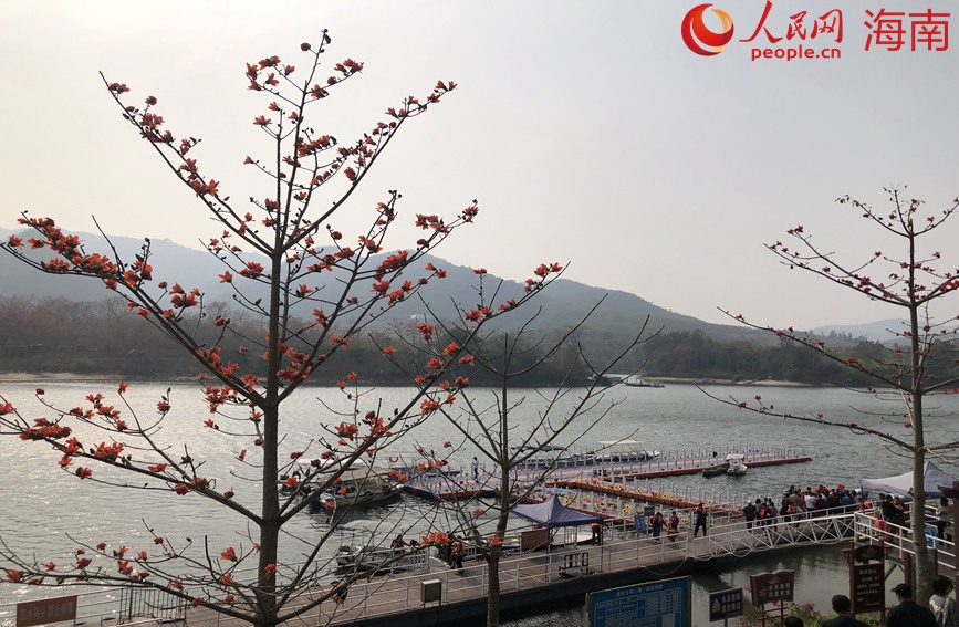 乘船賞木棉的觀景體驗(yàn)人氣居高不下。人民網(wǎng) 宋彤桐攝
