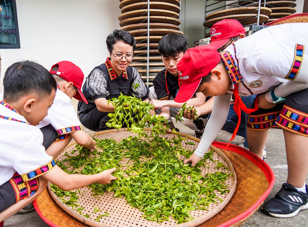 感受制茶樂趣。付金城攝