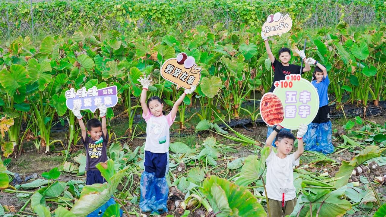 活動現(xiàn)場。主辦方供圖