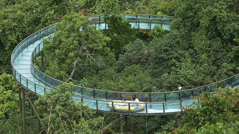 1月26日，寒假伊始，眾多游客漫步在亞龍灣熱帶天堂森林旅游區(qū)賞花觀景，登高望遠(yuǎn)，體驗熱帶雨林游的樂趣，樂享暖冬三亞的美麗風(fēng)光。黃慶優(yōu)攝