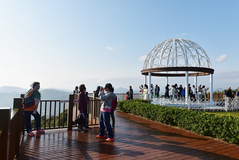 1月26日，寒假伊始，眾多游客漫步在亞龍灣熱帶天堂森林旅游區(qū)賞花觀景，登高望遠(yuǎn)，體驗(yàn)熱帶雨林游的樂趣，樂享暖冬三亞的美麗風(fēng)光。黃慶優(yōu)攝