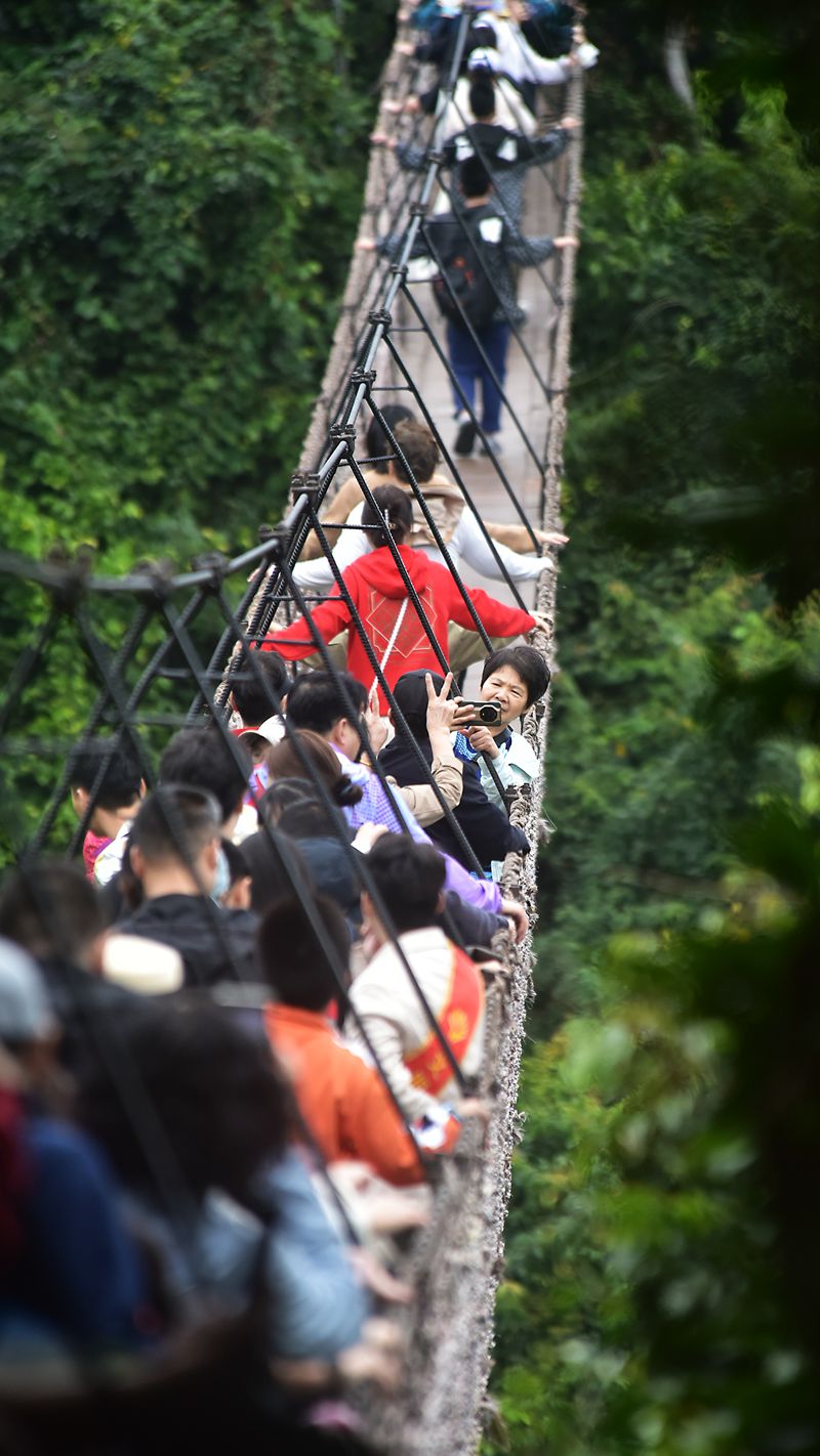 1月26日，寒假伊始，眾多游客漫步在亞龍灣熱帶天堂森林旅游區(qū)賞花觀景，登高望遠(yuǎn)，體驗熱帶雨林游的樂趣，樂享暖冬三亞的美麗風(fēng)光。黃慶優(yōu)攝