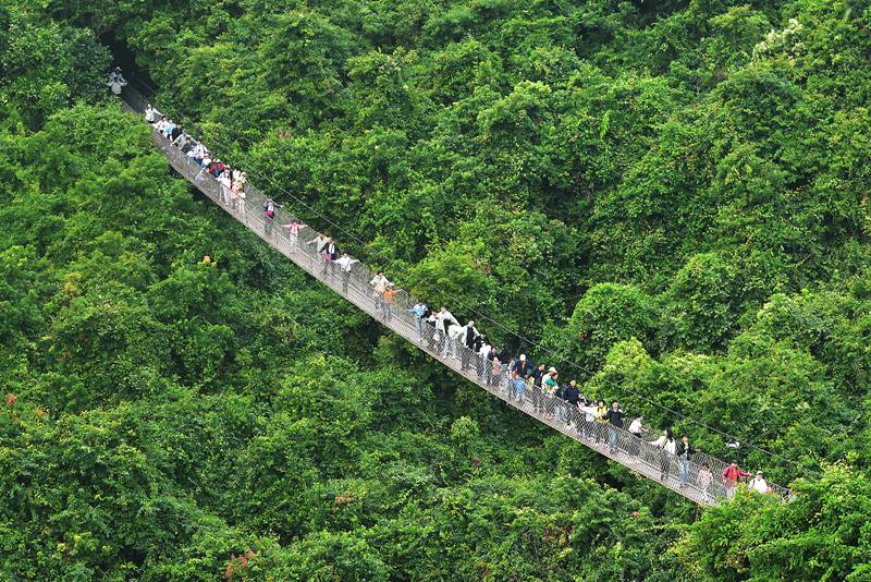 1月26日，寒假伊始，眾多游客漫步在亞龍灣熱帶天堂森林旅游區(qū)賞花觀景，登高望遠(yuǎn)，體驗(yàn)熱帶雨林游的樂(lè)趣，樂(lè)享暖冬三亞的美麗風(fēng)光。黃慶優(yōu)攝