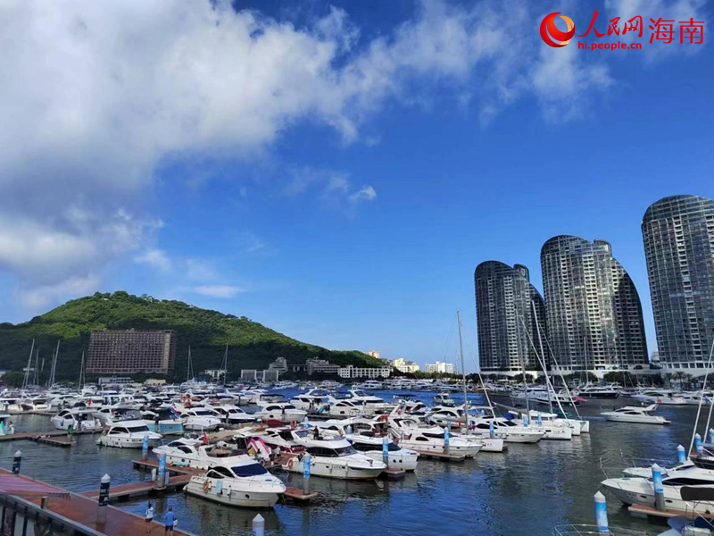 不同型號(hào)的游艇停靠在鴻洲游艇碼頭。人民網(wǎng)記者 席秀琴攝