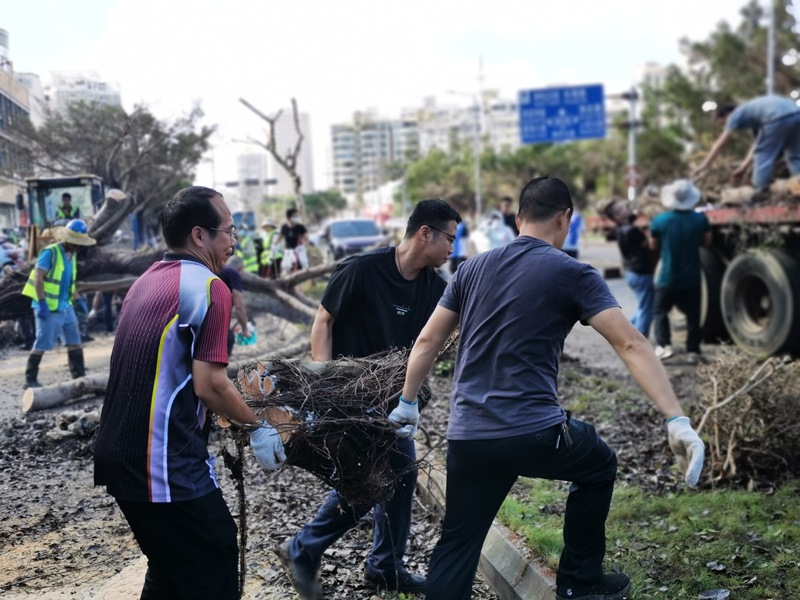海南省自然資源和規(guī)劃廳動員黨員干部參與災后恢復。海南省自然資源和規(guī)劃廳供圖