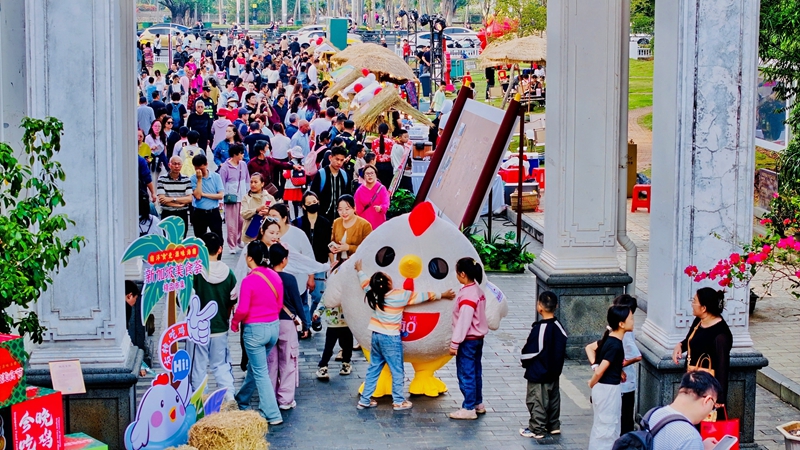 美食薈吸引了眾多市民游客。主辦方供圖