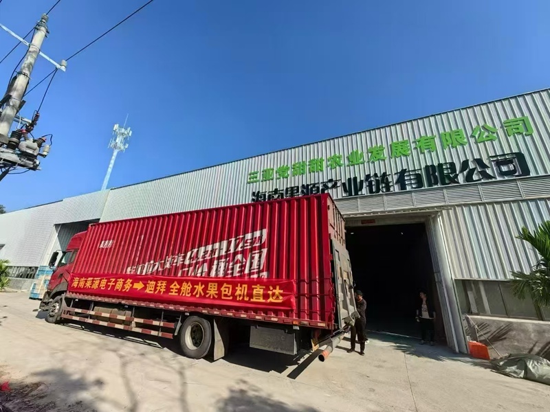 三亞特色果蔬通過包機送往迪拜。三亞市農(nóng)業(yè)農(nóng)村局供圖